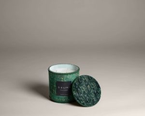 Pine Forest - Small